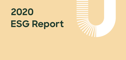 2020 ESG Report